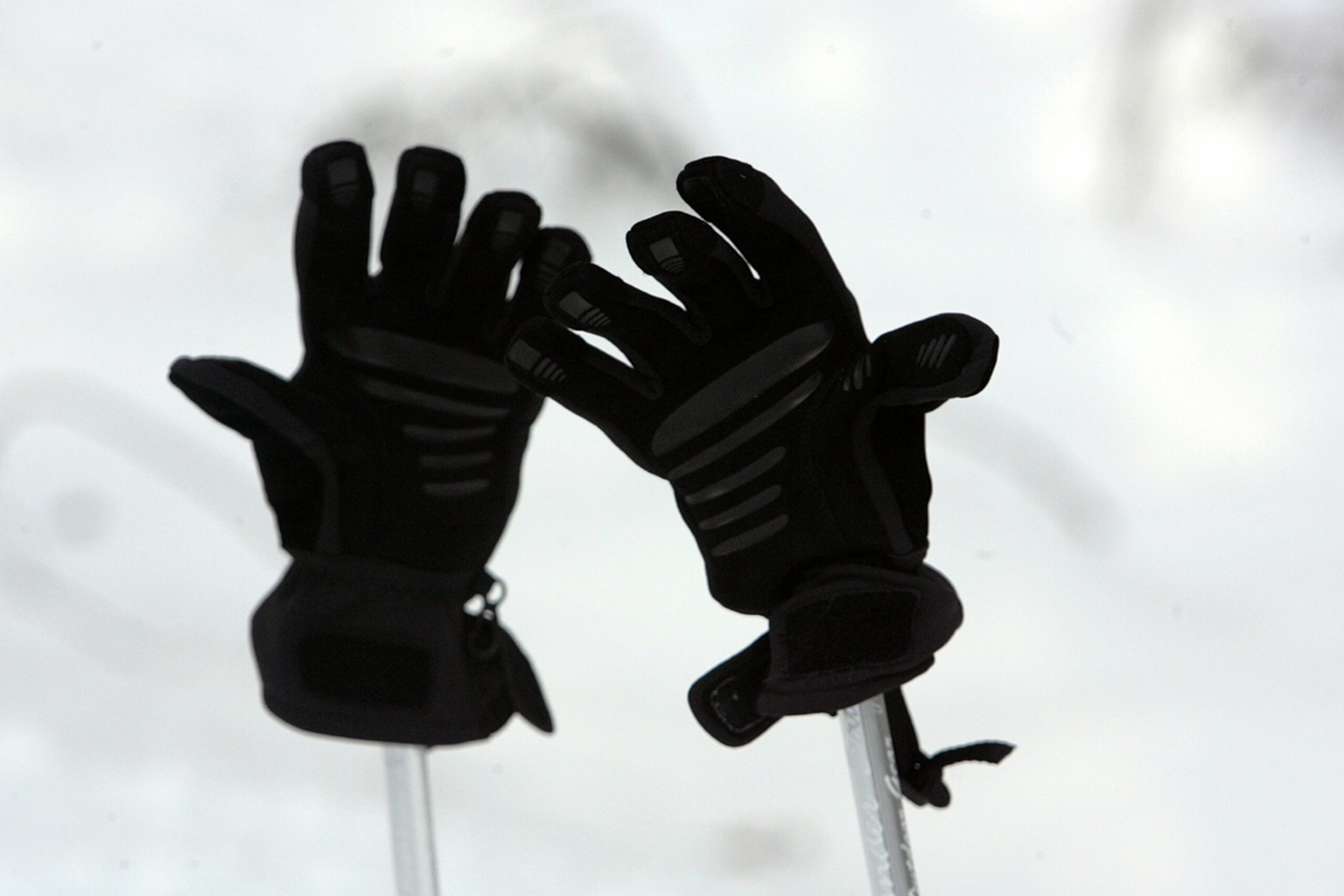 Home Best Insulation for Ski Gloves