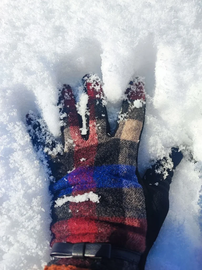 Leather ski glove palm texture close-up