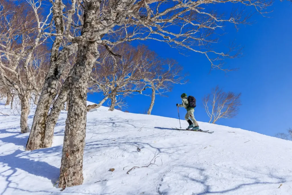 Backcountry skier's gloved hands in deep powder snow